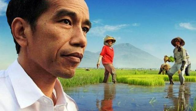  Pemerintahan Jokowi-JK Manipulasi Angka Produksi Pangan dan Pertanian