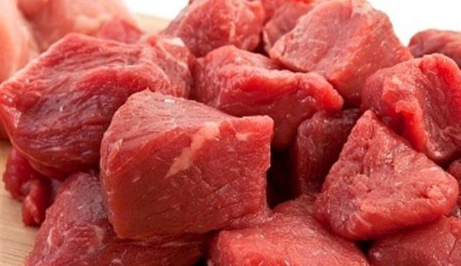 Daging Impor Pemerintah Diragukan Kehalalannya