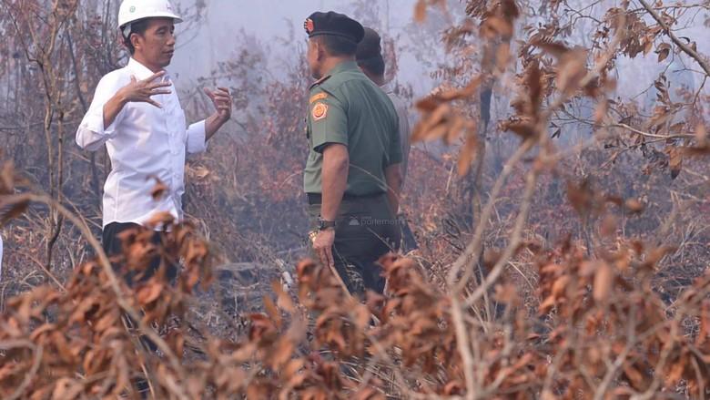  18 Tahun Usia Kebakaran Hutan Indonesia, Mulai Tumpang Tindih UU hingga Kurangnya Pengawasan Pemerintah