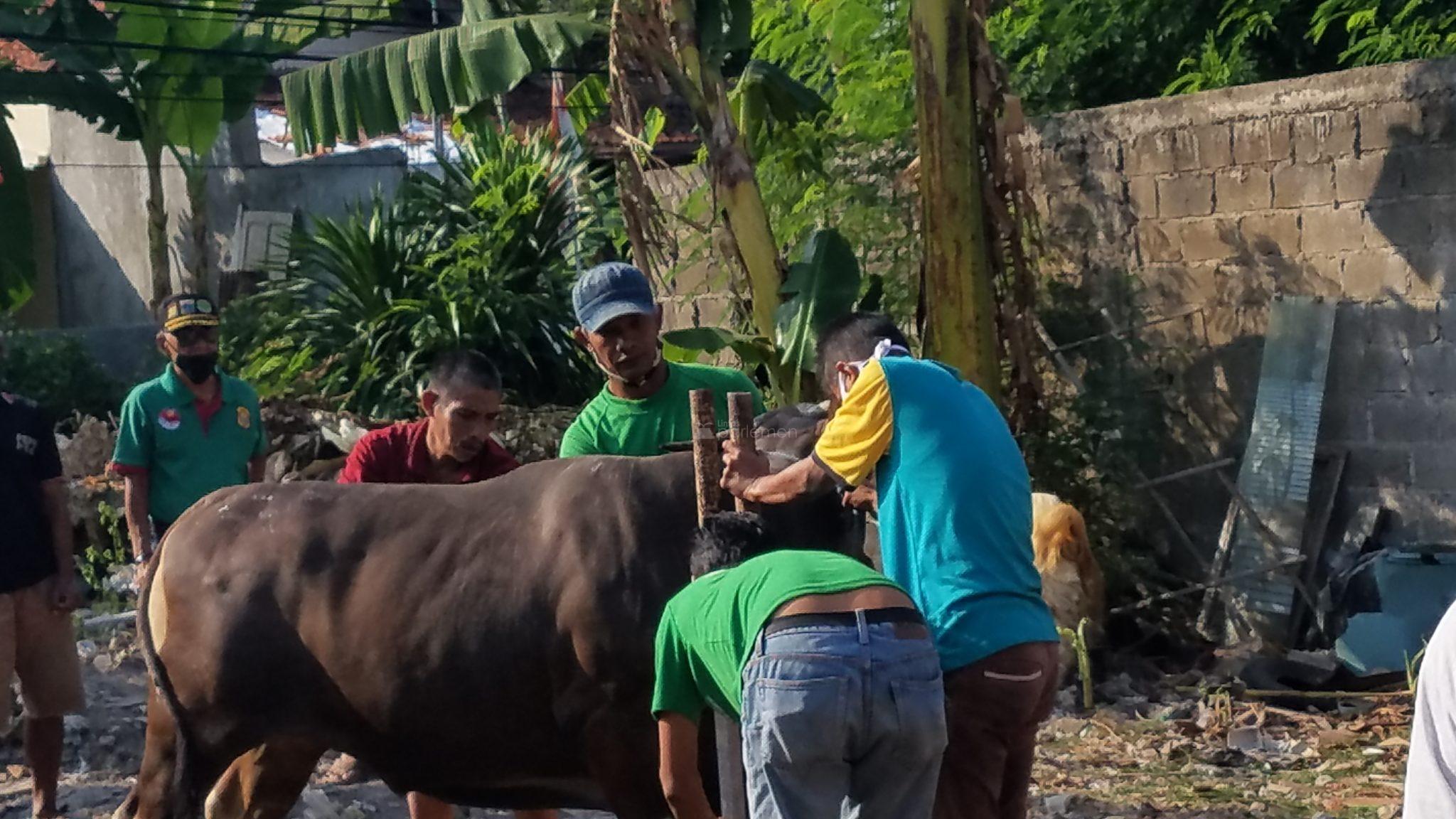  DPP KNPI Gelar Qurban: Idul Adha Bertepan HUT KNPI ke-47 Momentum Merawat Pluralisme