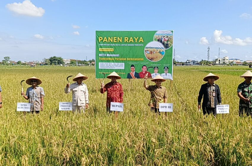 Daniel Johan Hadiri Panen Raya Padi di Kalbar: Pada Momen Ini Ada 3 Cinta, Cinta kepada Tanah, Padi dan Petani