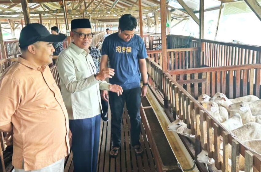  Abdul Fikri Faqih Apresiasi Inovasi Peternakan Modern Dikembangkan Peternak Anak Muda di Tegal