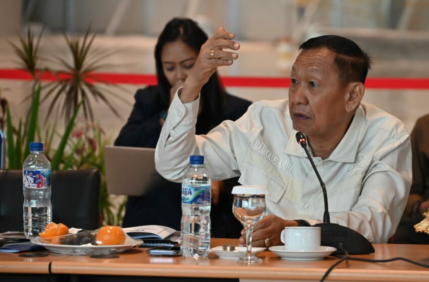  Jelang Libur Nataru, Hamka Baco Kady Minta Pemerintah Beri Subsidi Avtur untuk Tekan Tiket Pesawat Mahal