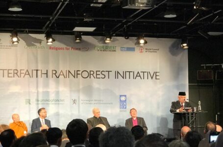 Din Syamsuddin Ikut Luncurkan Interfaith Rainforest Initiative di Oslo