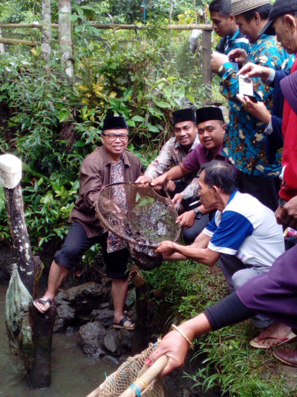  Masa Reses, Anggota DPR Ini Panen Ikan Bersama Masyarakat