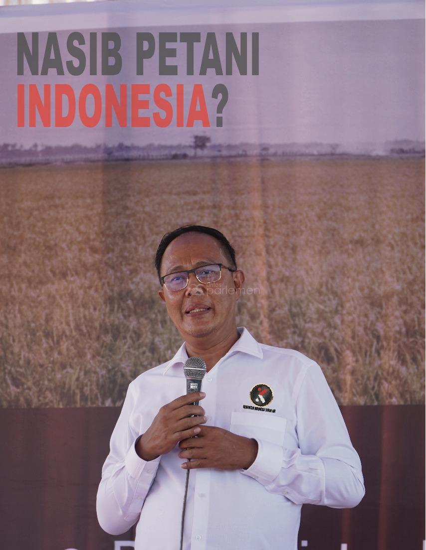  Harga Kedelai Impor Melambung, Sekjen KITA: Kedaulatan Pangan Jangan Cuma Jargon
