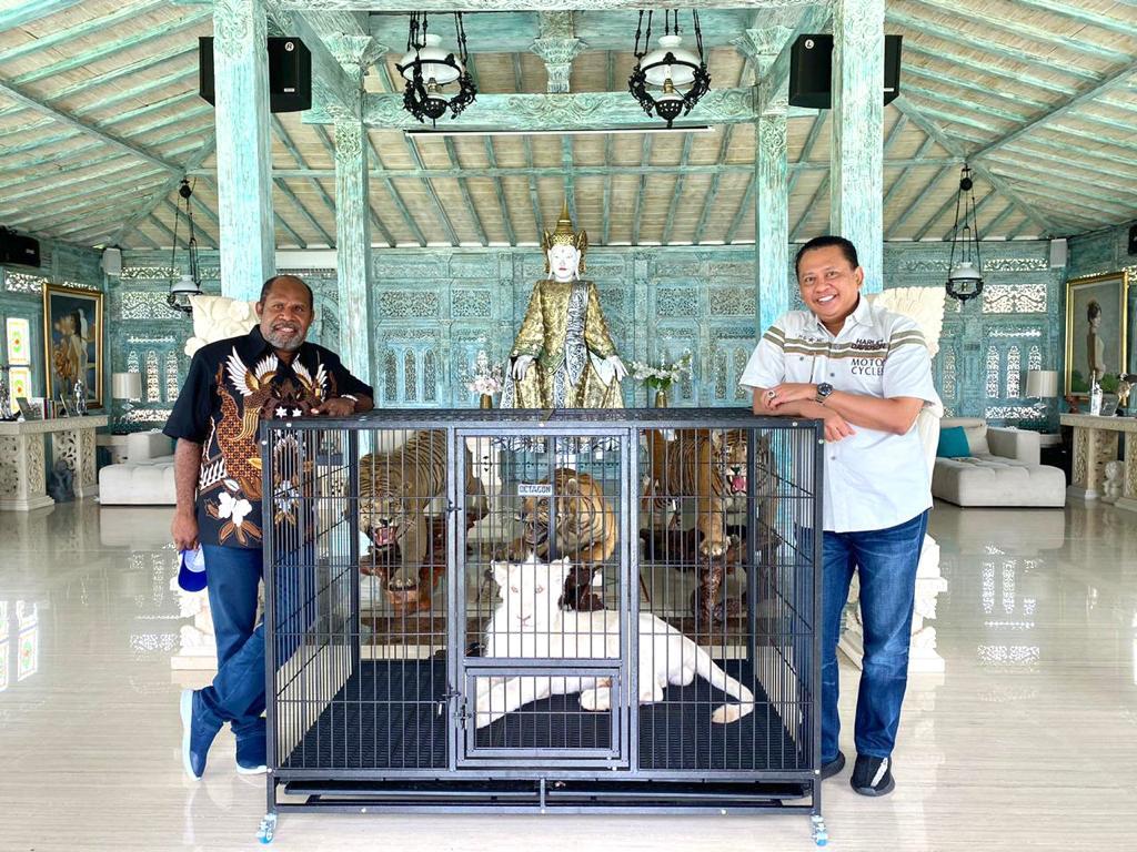 Terima Ketua Harian PB PON XX 2021, Bamsoet: Persiapan Venue PON Papua Sudah 80%