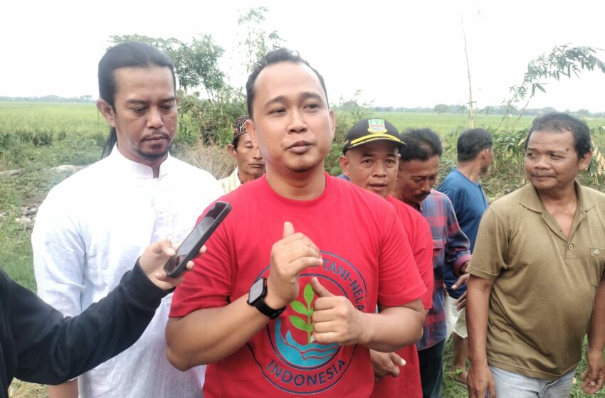  Hari Tani Nasional, Persaudaraan Tani-Nelayan Dorong Pemerintah Lindungi Lahan Pertanian