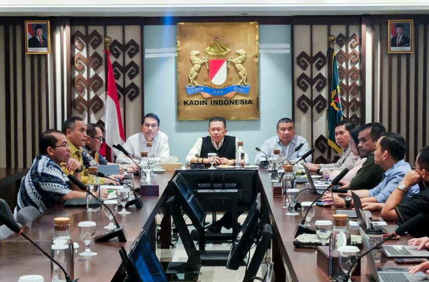  Revisi UU KADIN Perkuat Sinergi Pemerintah dan Dunia Usaha