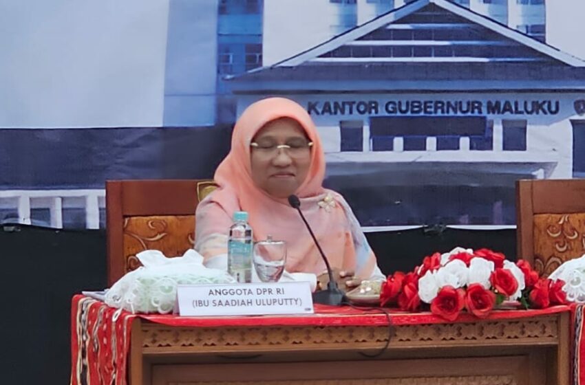  Suara dari Timur! Saadiah Uluputty Ajak Komisi V DPR RI Saksikan Langsung Tantangan Pembangunan di Maluku