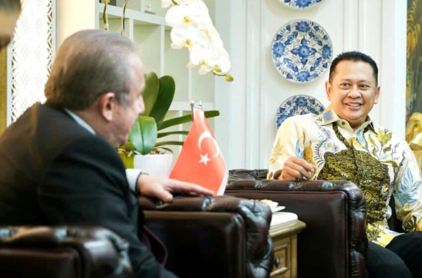  Indonesia sebagai Presiden Dewan HAM PBB: Diharapkan Mampu Memainkan Peran Substantif Kemanusiaan Global