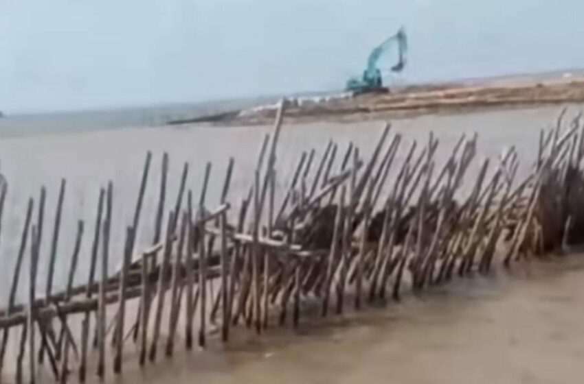  Fakta Persidangan Ungkap Keterlibatan Mantan Kepala BPN Tangerang atas Terbitnya Sertifikat Pagar Laut, KNPI: Adili!