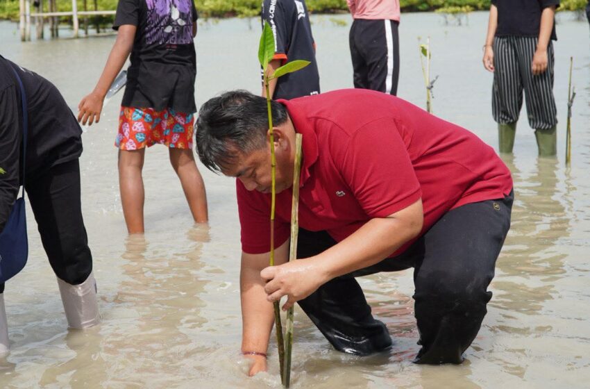  I Nyoman Parta: Mangrove Bukan Sekadar Pohon, tapi Benteng Kehidupan Pesisir Bali