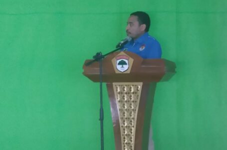 Pemuda di Ruang Digital, DPP KNPI Puji Kabinet Indonesia Maju Presiden Jokowi