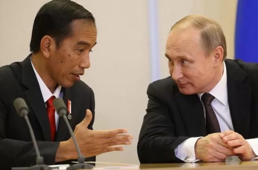  Presiden Jokowi Apresiasi Putin Buka Jalur Ekspor Gandum