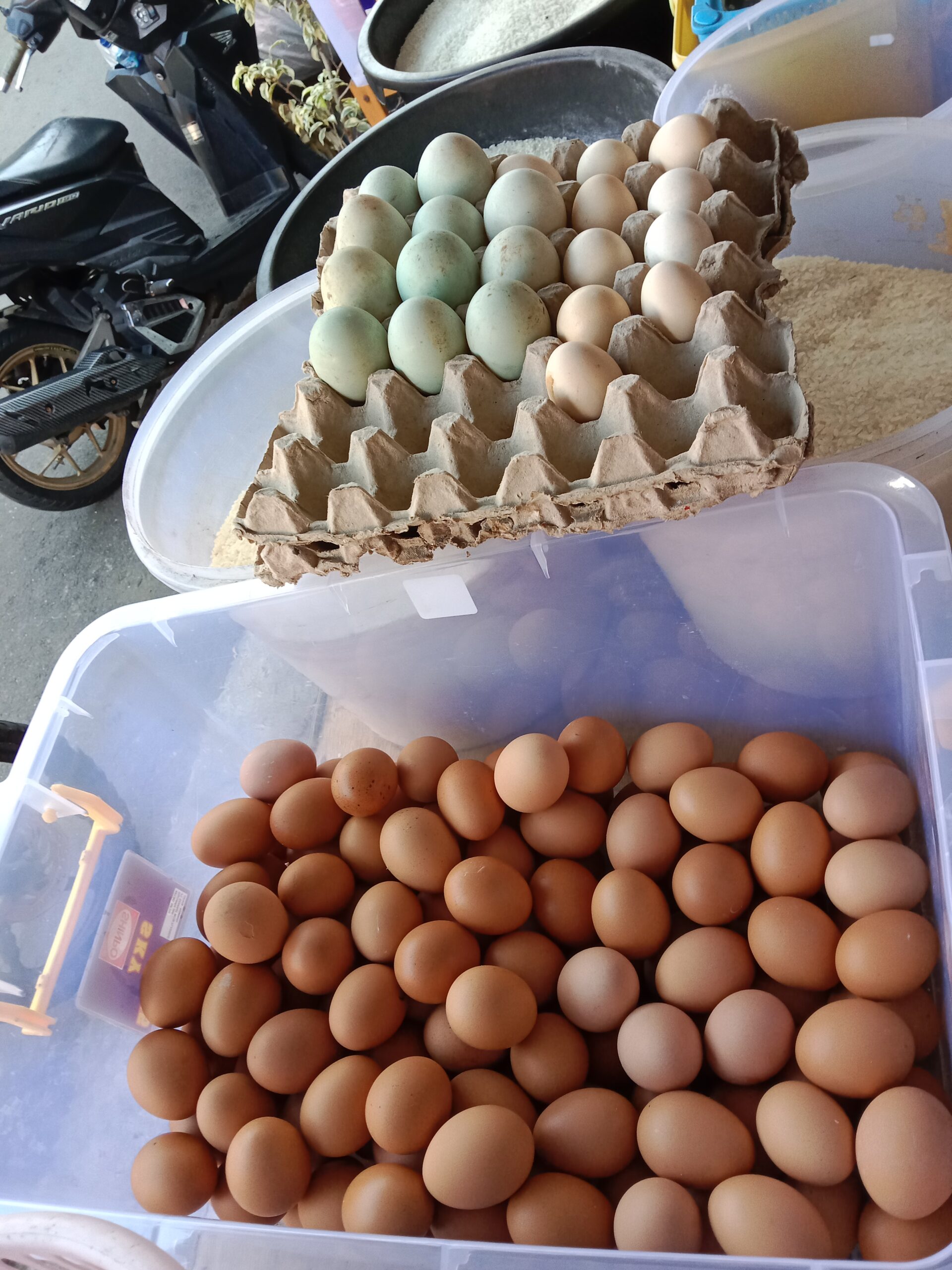 DPR Desak Pemerintah Kendalikan Harga Telur