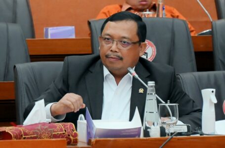 Kesan Politis, DPR Sayangkan BUMN Tak Sponsori Formula E Seperti MotoGP