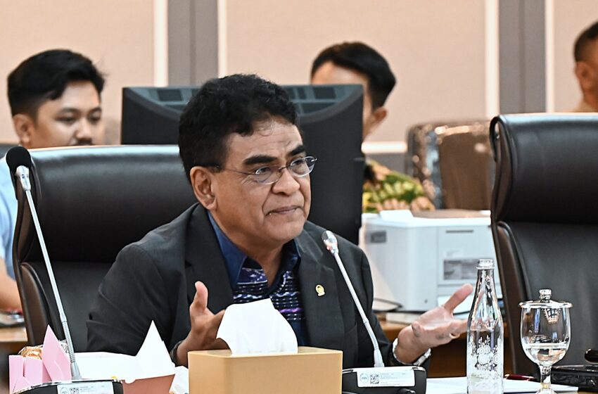  Andreas Hugo Pareira Sentil LPSK: Anggaran Tak Bisa Ditambah Jika Kerja Masih Lamban