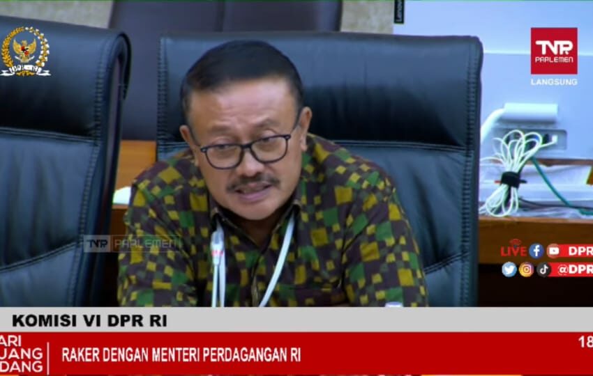 Wakil Ketua Komisi VI DPR RI Gde Sumarjaya Linggih atau Demer