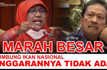 Saadiah Uluputty Kejar Janji Jokowi Soal LIN di Maluku