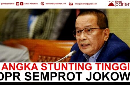 DPR Tanggapi Target Presiden RI Joko Widodo soal Stunting