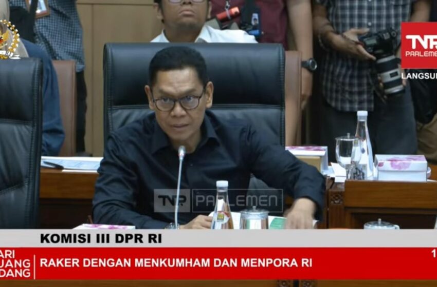 Adies Kadir Sebut Proses Naturalisasi Mees Hilgers dan Eliano Reijnders Sudah Tepat