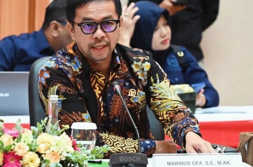  Marinus Gea Ungkap Prihatinan Kondisi Harmonisasi Regulasi di Sulawesi Tenggara yang Kontradiktif