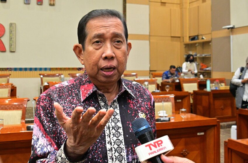  Safaruddin soal RUU Penyesuaian Pidana: Perlu Penyesuaian Pasal-pasal Terkait Narkotika Secara Hati-hati