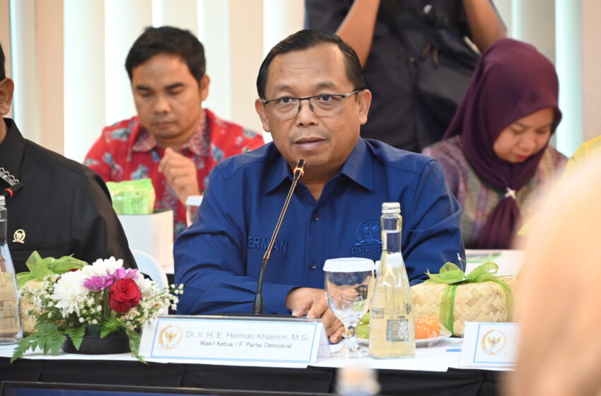  DPR Tetap Awasi Danantara!