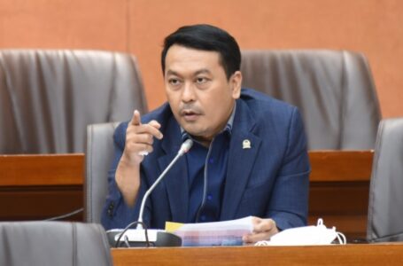 Demi Stabilkan Harga Minyak Goreng, Rudi Hartono Bangun Dukung Audit Industri Kelapa Sawit