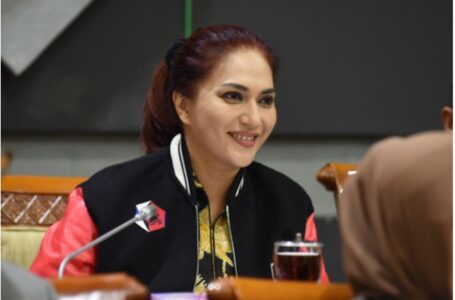 Sari Yuliati Usulkan Pasal Penghinaan di RUU KUHP Sebagai Delik Aduan